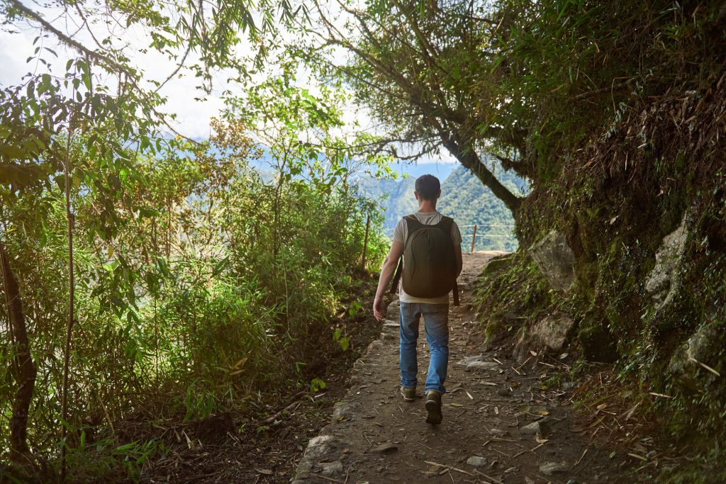 Back view of man walking in trail